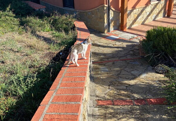Villa Leonzio