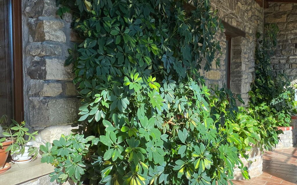 Villa Leonzio