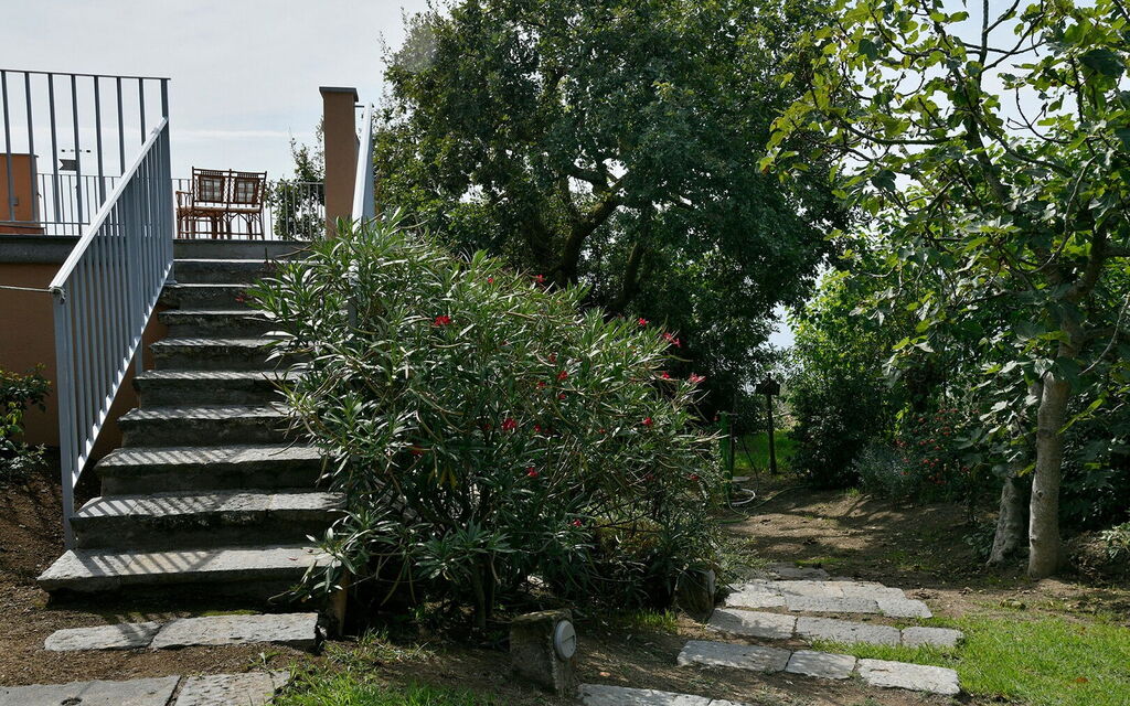 Villa Gallini: Attività, Caratteristiche, Estate, Esterni, Giardino, Piscina, Primavera
