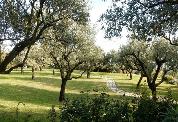 Villa Serini: Activities, Amenities, Balcony / Terrace / Patio, Building Exterior, Garden, Main Entrance, Spring, Summer