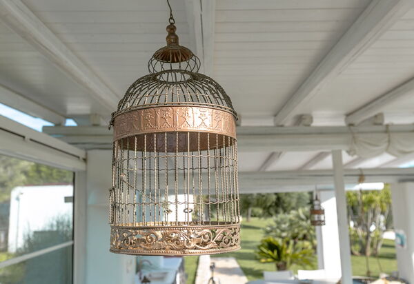 Villa Bernardi: Amenities, Balcony / Terrace / Patio, Building Exterior, Facilities, Garden, Outdoor, Pool, Spring, Summer, Wellness
