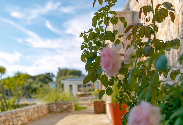 Villa Bernardi