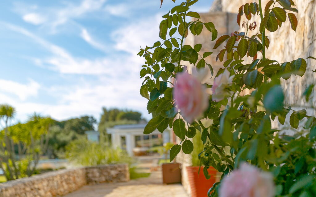 Villa Bernardi
