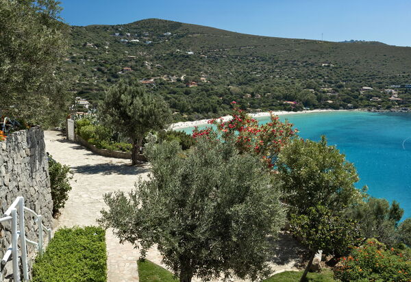 Villa Orchidea: Amenities, Balcony / Terrace / Patio, Building Exterior, City, Facilities, Food, Garden, Living Room, Main Entrance, Outdoor, Pool, Room Detail, Spring, Summer