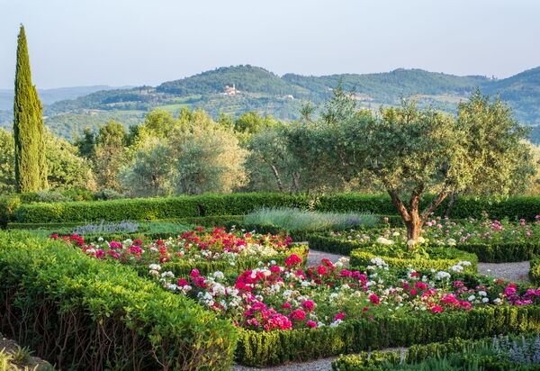 Villa Dei Corticelli: Amenities, Animals, Balcony / Terrace / Patio, Building Exterior, Facilities, Main Entrance, Outdoor, Pool, Room Detail, Spring, Summer