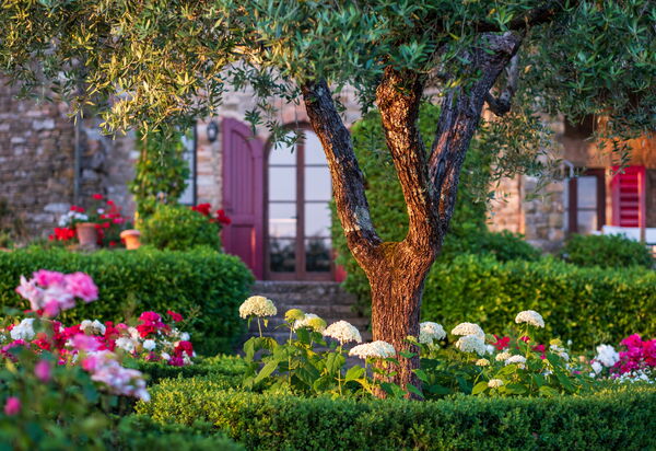 Villa Dei Corticelli