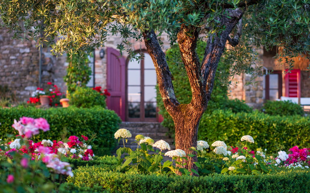 Villa Dei Corticelli