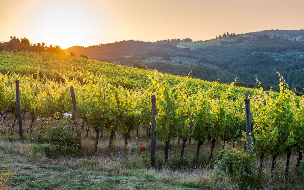 Villa Dei Corticelli