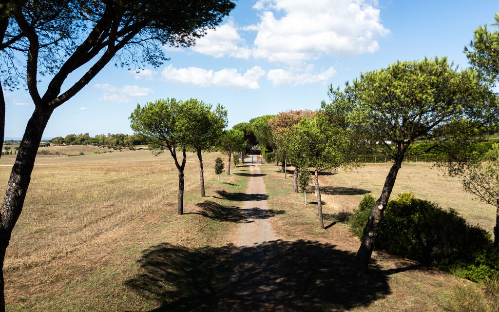 Villa Orange Rome: Amenities, Balcony / Terrace / Patio, Building Exterior, Facilities, Garden, Outdoor, Pool, Room Detail, Spring, Summer
