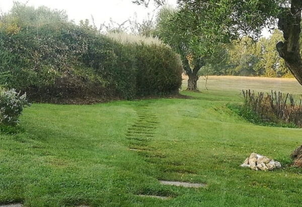 Casale Cardini: all'aperto, Attività, Caratteristiche, Estate, Esterni, Primavera