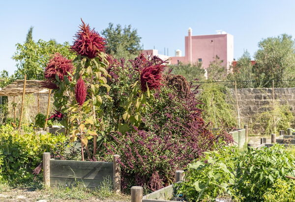 Villa Arabesque: Activities, Balcony / Terrace / Patio, Building Exterior, Hot Tub, Main Entrance, Outdoor, Pool, Spring, Summer
