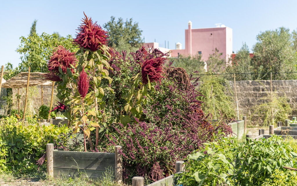 Villa Arabesque: all'aperto, Attività, Balcone / Terrazza / Patio, Entrata Principale, Estate, Esterni, Idromassaggio, Piscina, Primavera
