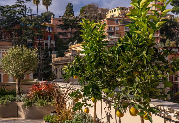 Numa Penthouse Rome