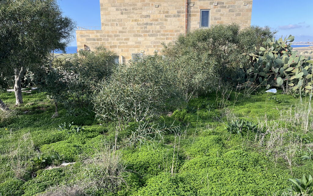 Villa Lippia: Amenities, Building Exterior, Garden, Outdoor, Pool, Spring, Summer, Wellness