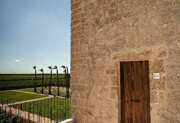 Villa Vincenzi: Amenities, Garden, People, Pool, Spring, Summer, Wellness