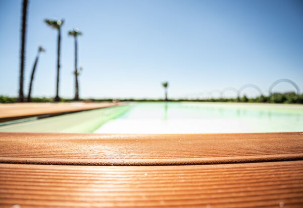 Villa Vincenzi: Amenities, Garden, People, Pool, Spring, Summer, Wellness
