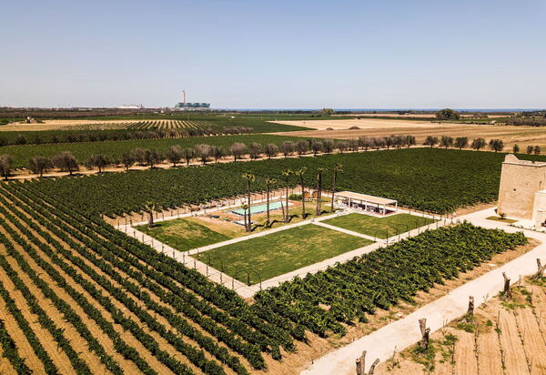 Villa Vincenzi: Amenities, Garden, People, Pool, Spring, Summer, Wellness