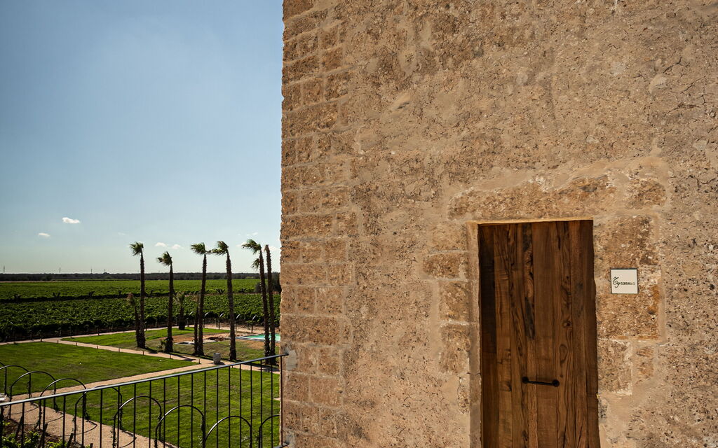Villa Vincenzi: Benessere, Caratteristiche, Estate, Giardino, Persone, Piscina, Primavera