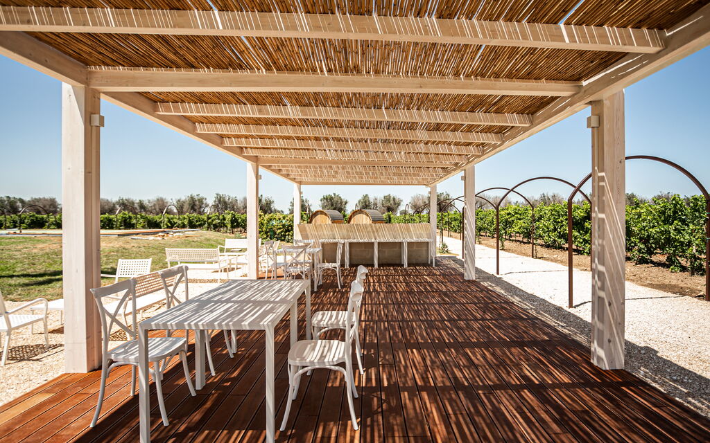 Villa Vincenzi: Benessere, Caratteristiche, Estate, Giardino, Persone, Piscina, Primavera