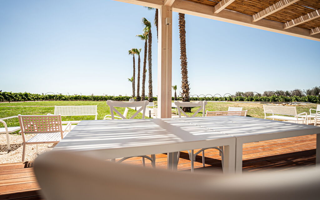 Villa Vincenzi: Benessere, Caratteristiche, Estate, Giardino, Persone, Piscina, Primavera