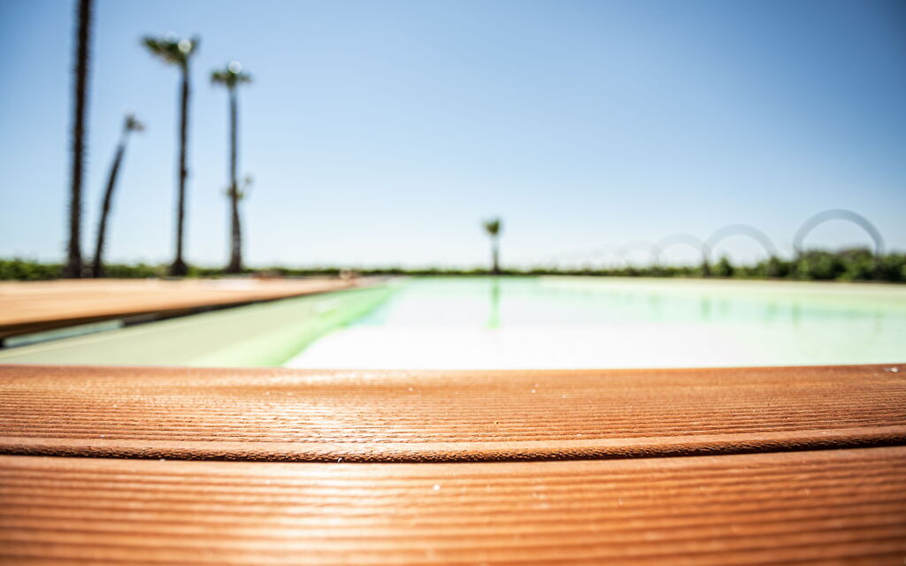 Villa Vincenzi: Benessere, Caratteristiche, Estate, Giardino, Persone, Piscina, Primavera