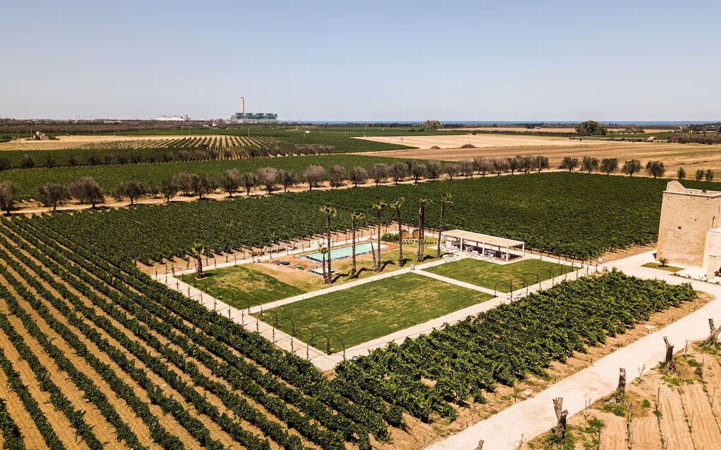 Villa Vincenzi: Benessere, Caratteristiche, Estate, Giardino, Persone, Piscina, Primavera