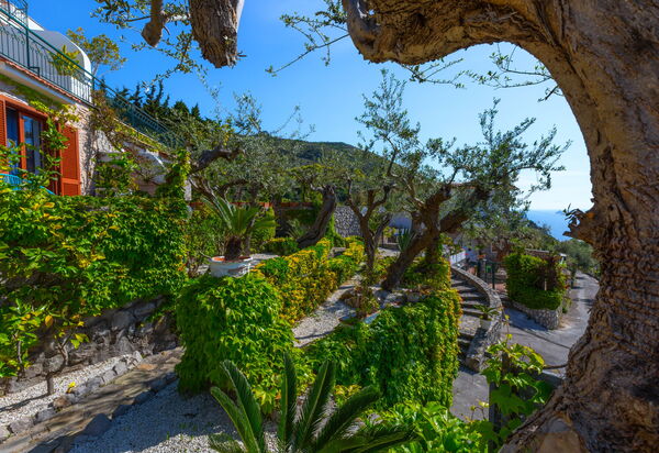 Villa Marianna