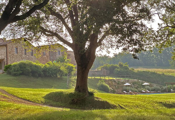 Villa Ortensia: Amenities, Building Exterior, Facilities, Garden, Pool, Spring, Summer, Wellness