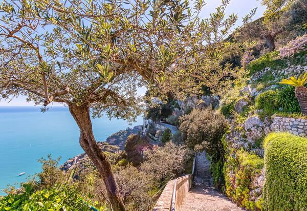 Villa Adriana: Amenities, Building Exterior, Main Entrance, Pool, Room Detail, Spring, Summer, Wellness