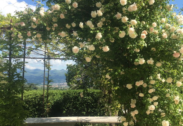 Villa Adelaide: Balcone / Terrazza / Patio, Benessere, Caratteristiche, Estate, Esterni, Giardino, Piscina, Primavera, Vista Panoramica