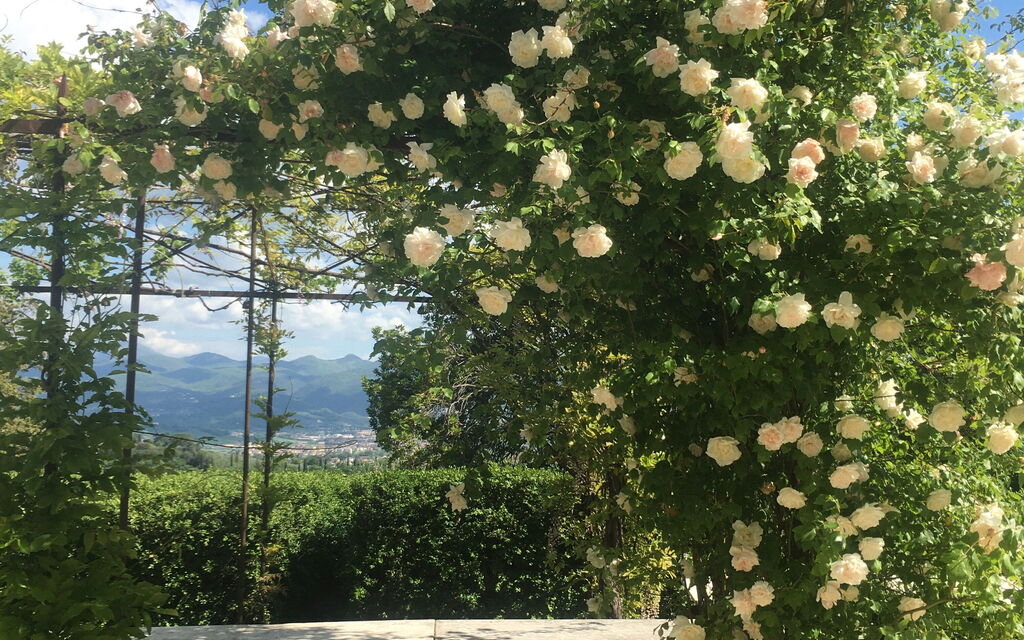 Villa Adelaide: Balcone / Terrazza / Patio, Benessere, Caratteristiche, Estate, Esterni, Giardino, Piscina, Primavera, Vista Panoramica