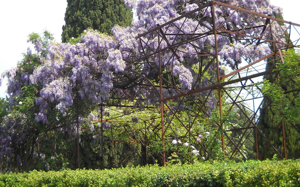 Villa Adelaide: Balcone / Terrazza / Patio, Benessere, Caratteristiche, Estate, Esterni, Giardino, Piscina, Primavera, Vista Panoramica