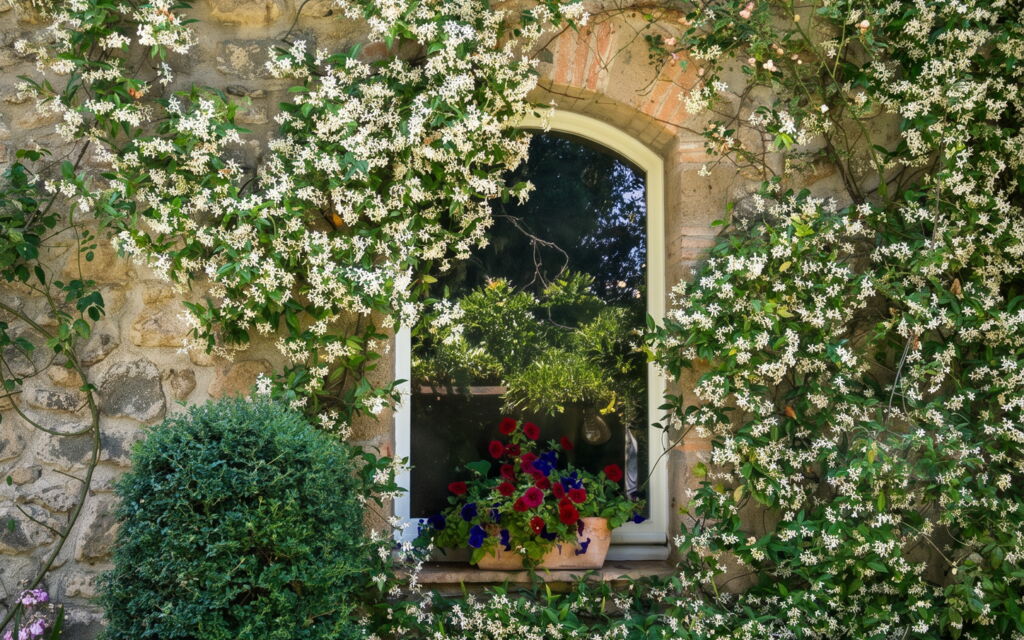 Villa Stella: all'aperto, Balcone / Terrazza / Patio, Benessere, Caratteristiche, Entrata Principale, Estate, Giardino, Piscina, Primavera