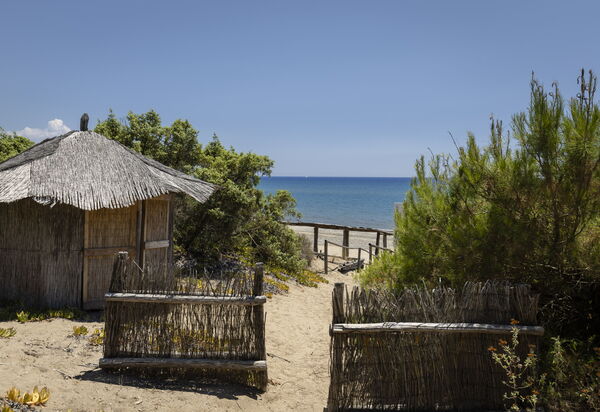 Villa i Girasoli: Amenities, Building Exterior, Garden, Main Entrance, Outdoor, Room Detail, Spring, Summer