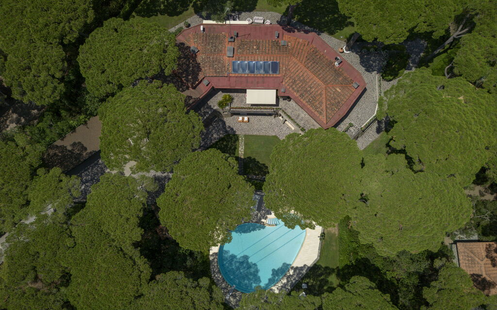 Villa i Girasoli: all'aperto, Caratteristiche, Dettagli della stanza, Entrata Principale, Estate, Esterni, Giardino, Primavera