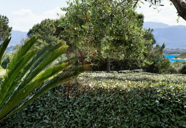 Villa Sorella: Attività, Estate, Esterni, Primavera, Servizi