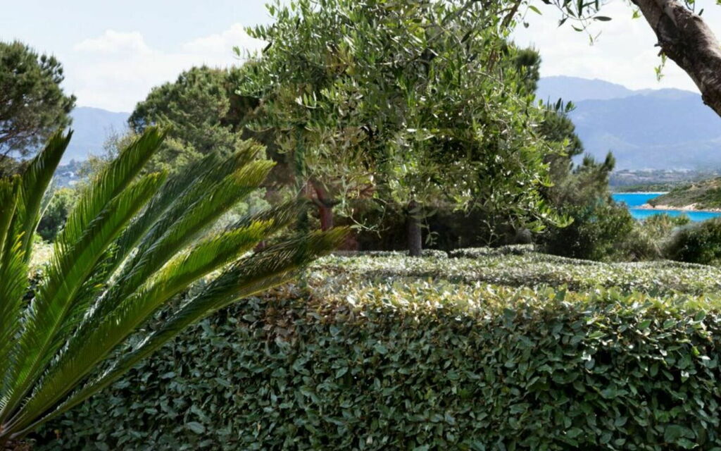Villa Sorella: Attività, Estate, Esterni, Primavera, Servizi