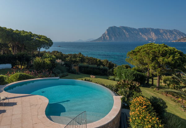 Villa Fiume: Estate, Esterni, Piscina, Primavera, Servizi