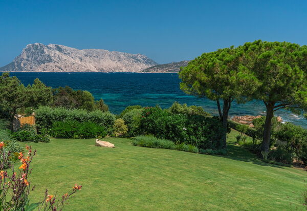 Villa Fiume