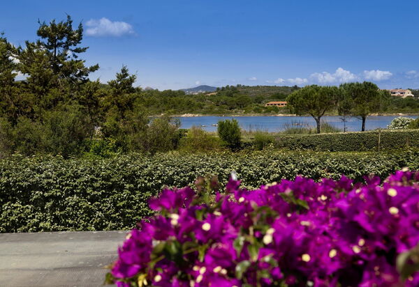 Villa Magno: Attività, Balcone / Terrazza / Patio, Benessere, Caratteristiche, Estate, Esterni, Piscina, Primavera, Servizi