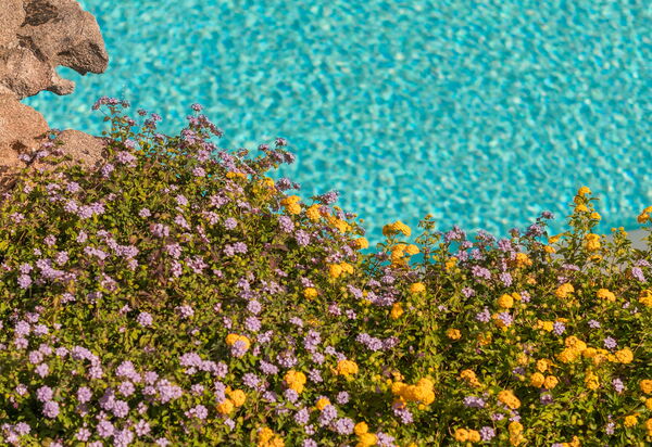 Villa Maestosa: all'aperto, Benessere, Estate, Esterni, Giardino, Piscina, Primavera, Servizi