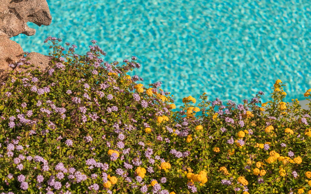 Villa Maestosa: all'aperto, Benessere, Estate, Esterni, Giardino, Piscina, Primavera, Servizi