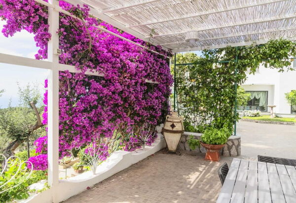 Villa Collemare: Activities, Amenities, Balcony / Terrace / Patio, Facilities, Garden, Hot Tub, Pool, Scenic View, Spring, Summer, Wellness
