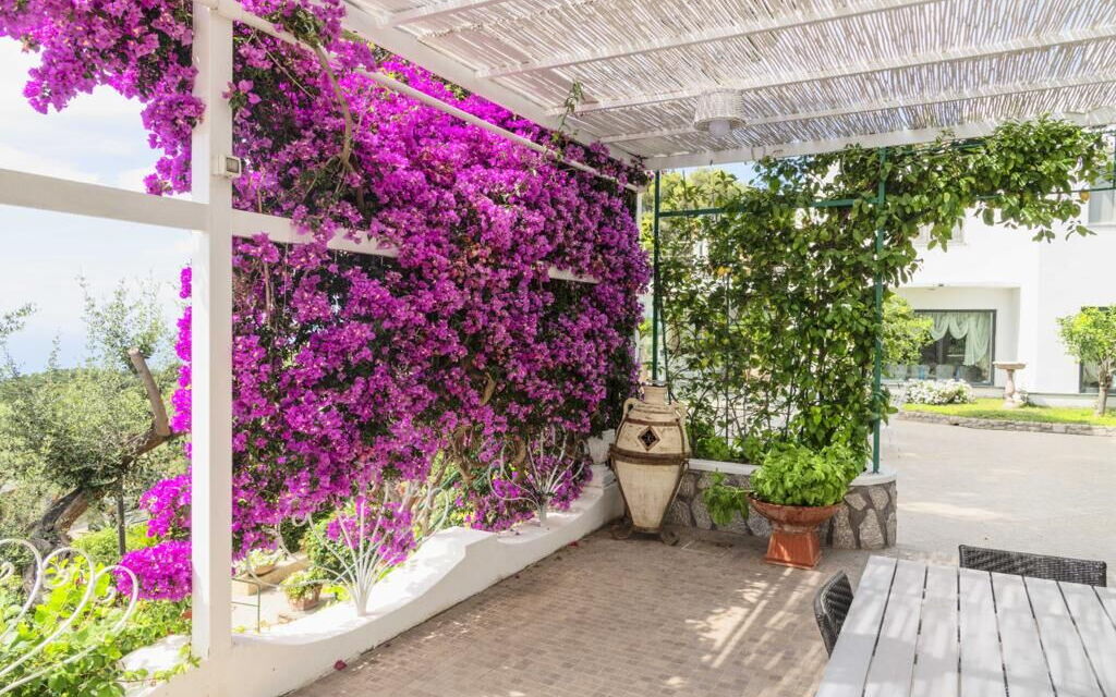 Villa Collemare: Activities, Amenities, Balcony / Terrace / Patio, Facilities, Garden, Hot Tub, Pool, Scenic View, Spring, Summer, Wellness