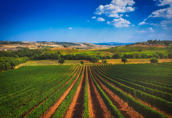 Villa Monte Argentario: Attività, Balcone / Terrazza / Patio, Benessere, Caratteristiche, Estate, Esterni, Giardino, Piscina, Primavera, Servizi, Vista Panoramica