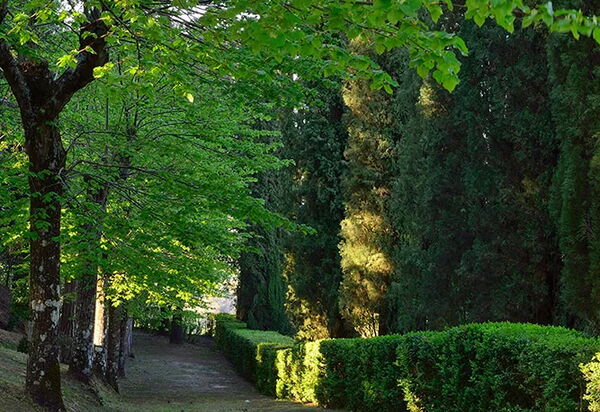 Villa Macciano: Activities, Amenities, Balcony / Terrace / Patio, Building Exterior, Facilities, Garden, Pool, Spring, Summer, Wellness