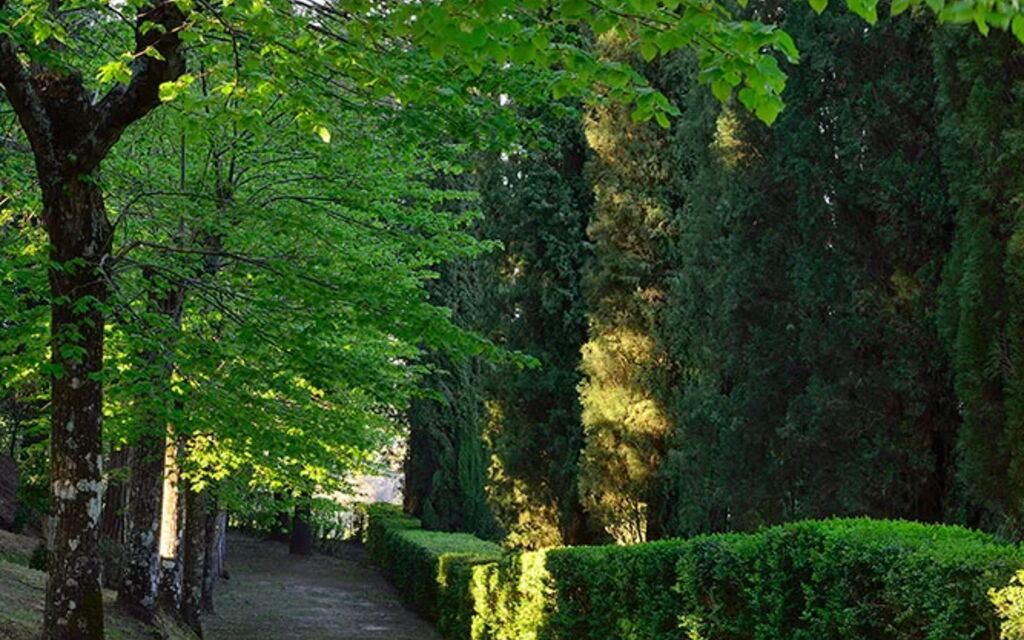 Villa Macciano: Attività, Balcone / Terrazza / Patio, Benessere, Caratteristiche, Estate, Esterni, Giardino, Piscina, Primavera, Servizi