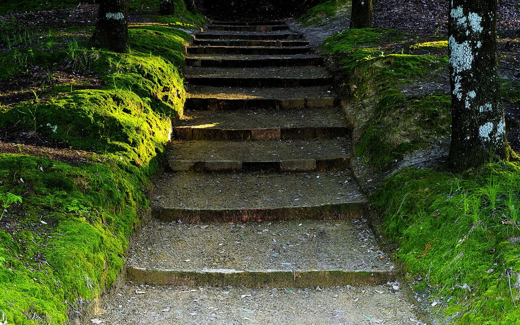Villa Macciano: Attività, Balcone / Terrazza / Patio, Benessere, Caratteristiche, Estate, Esterni, Giardino, Piscina, Primavera, Servizi